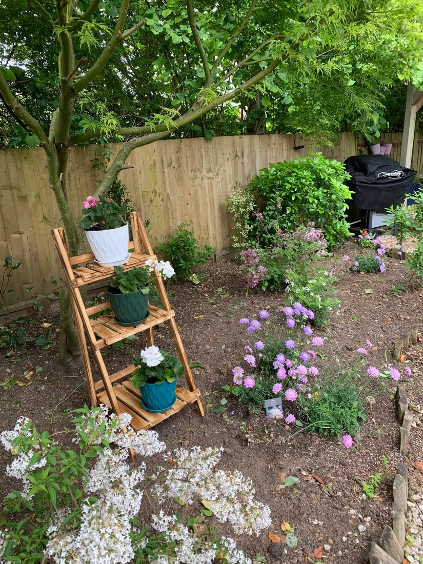 Planted garden border with potted flowers - Kenilworth