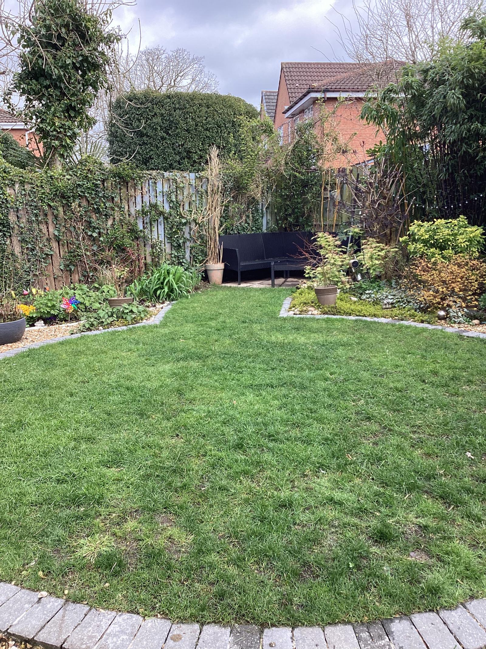 Back garden before — lawn and borders needing attention