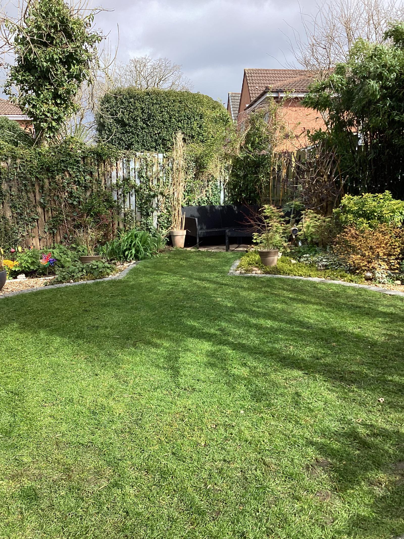 Back garden after — neat lawn with crisp edging and tidy borders