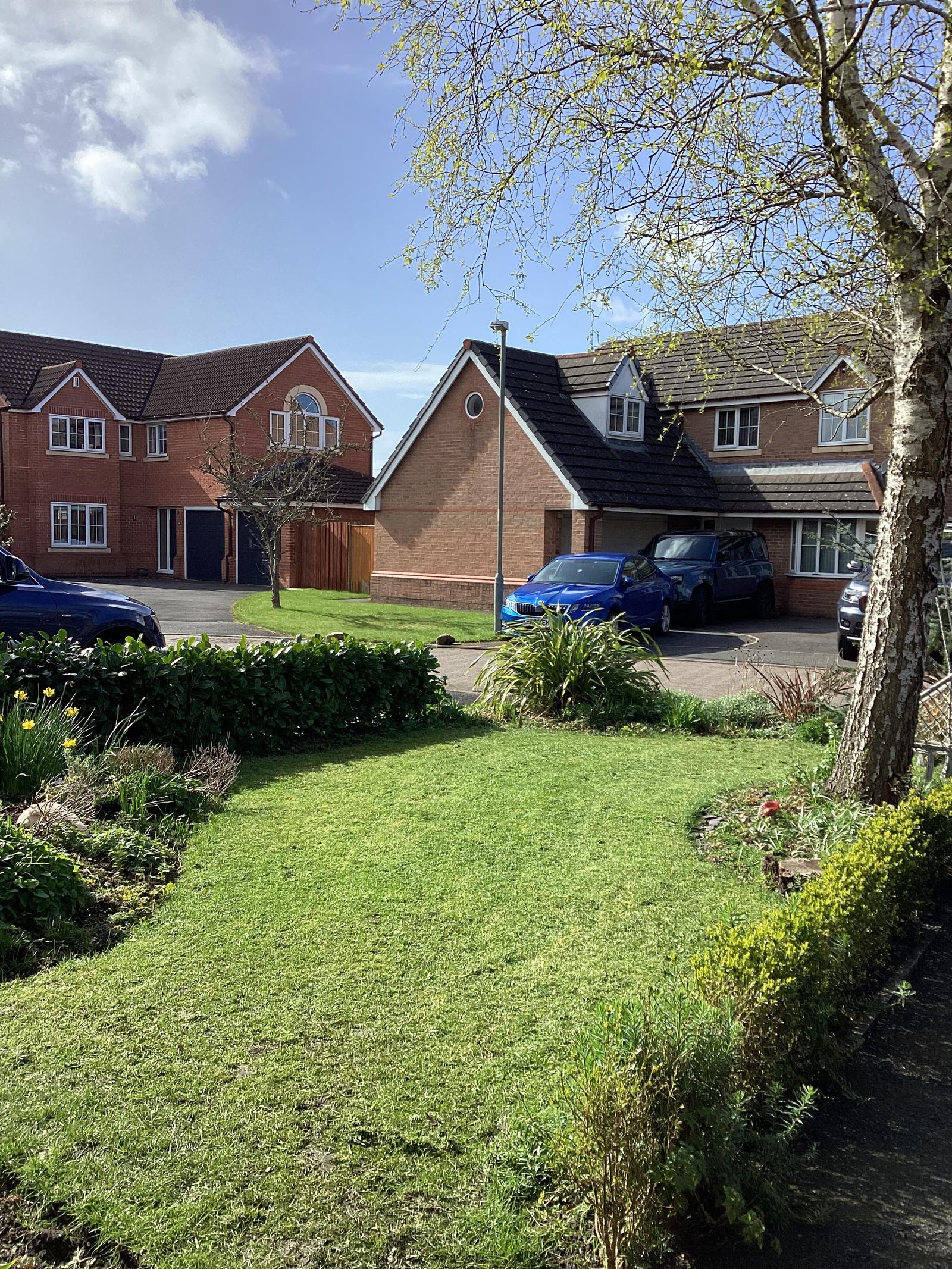 Front garden after — tidy lawn with trimmed hedges and clean edges