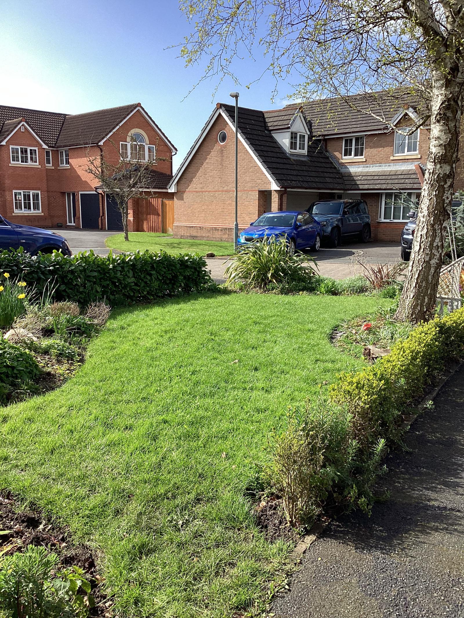 Front garden before — overgrown lawn and untrimmed hedges