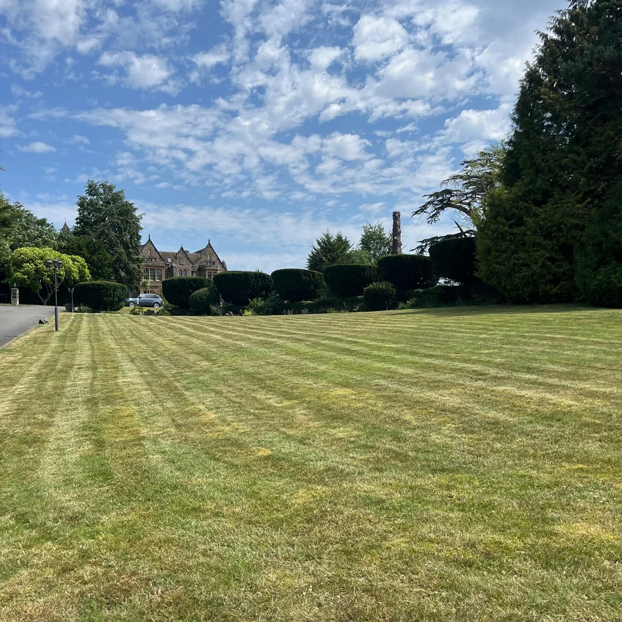 Brin's garden - Blackdown, maintained by Royal Garden Care